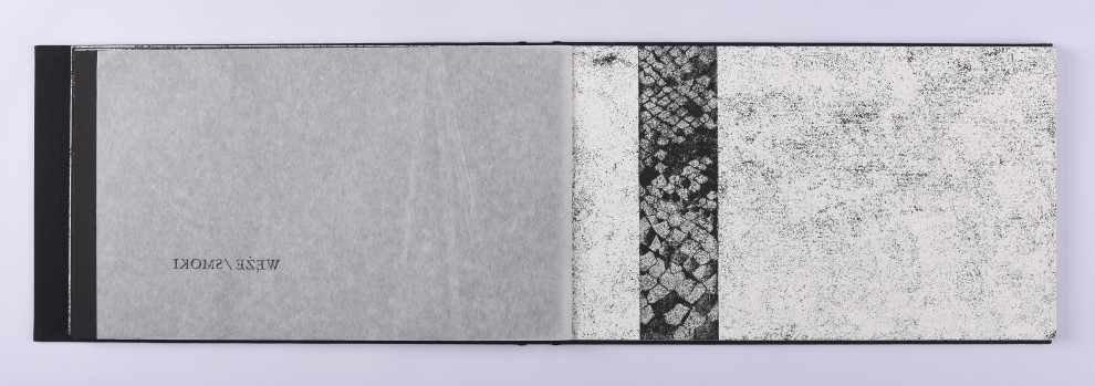 19. akwaforta, akwatinta, 21,5 x 73